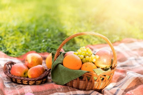 Fruits baskets picnic blanket park