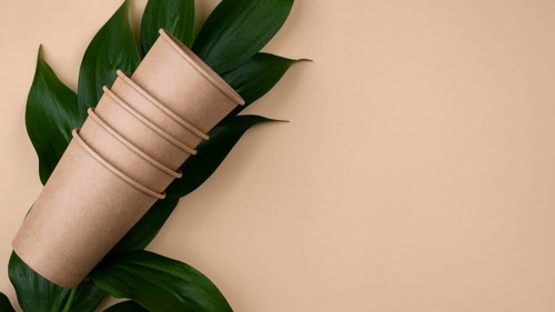 Eco friendly brown cups leaves