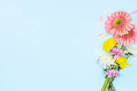 Bunch fresh bright flowers