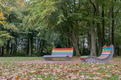 Colourful bench and colourful lounger