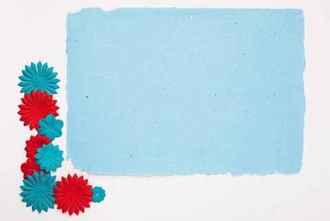 Colorful flowers near blue frame isolated background