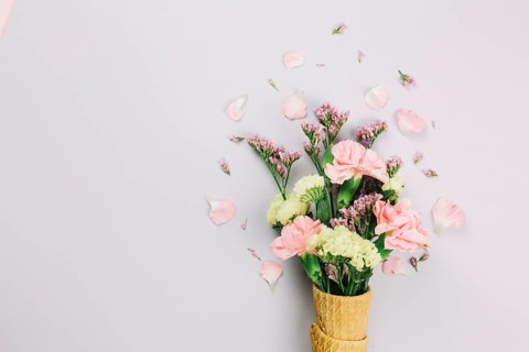 (Limonium) carnations flowers waffle cones isolated white background