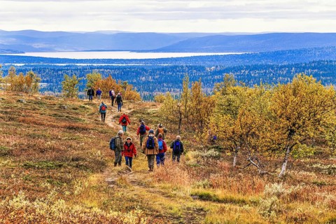 People hiking in a beautiful landscape in the swedish mountains at autumn