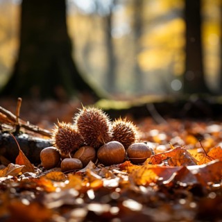 Chestnuts