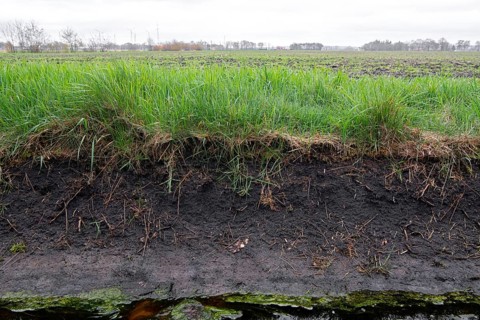Break-off edge at the edge of a field