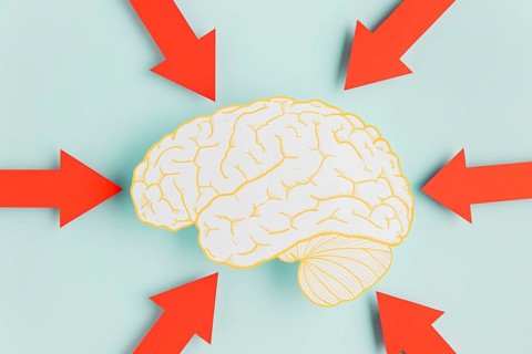 Paper brain with arrows
