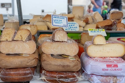 Market stall with different kinds of cheese