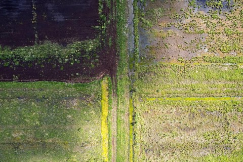 Aerial photograph of the moor