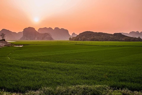 Beautiful sunrise over the rice paddy in Ninh Binh