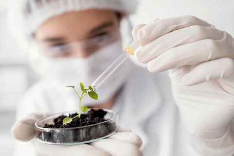 Close up scientist watering plant