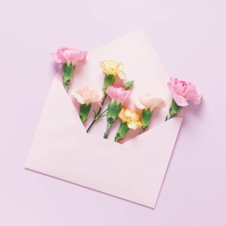 Carnations lying package