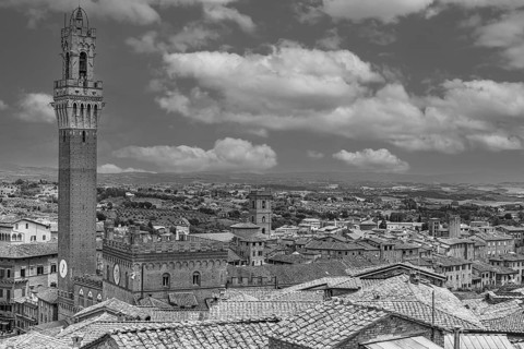 Above the roofs of Siena with view of the bell tower Torre del Mangia