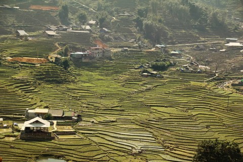 Aerial view terraced rice paddy and mountains in the village of Lao Cai in Sa pa Vietnam