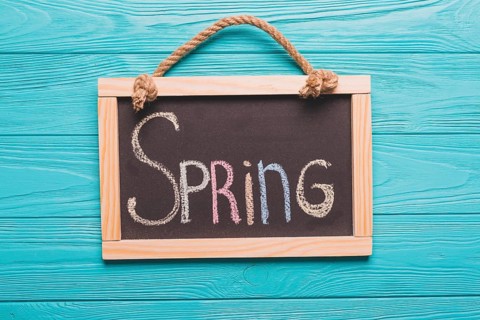Blackboard with spring writing