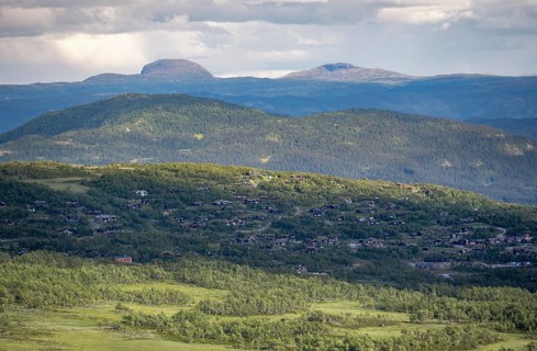 Norwegian houses between birch forest