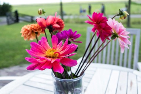 Bouquet of flowers on a table in a vase