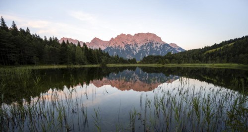 Alpine glow