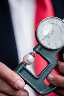 An appraiser with a measuring device device to determine the diameter of a white pearl