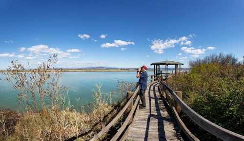 Bird watching from the wooden footbridge in the nature reserve of the Isonzo River near the fishing village of Punta Sdobba