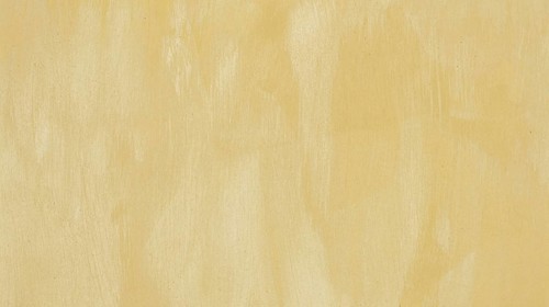 Empty monochromatic beige painted background