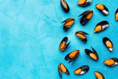 Flat lay boiled mussels with copy