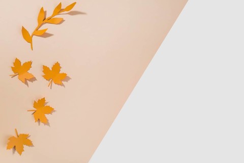 Orange paper leaflets table