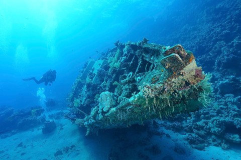 Wreck of sailboat overgrown with corals