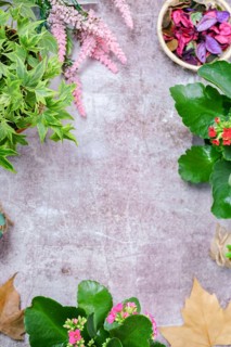 Cement background with flowering plants around it copy space