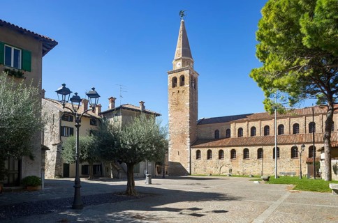 Olive trees at Campo Patriarca Elia with Basilica Sant Eufemia