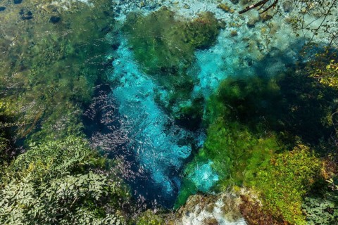 River with transparent waters of The Blue eye