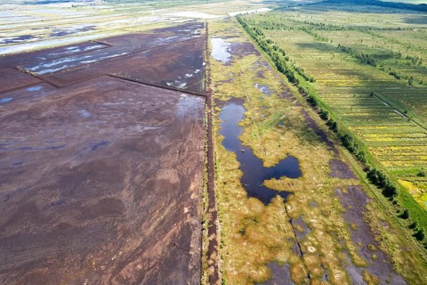 Aerial view of the moor