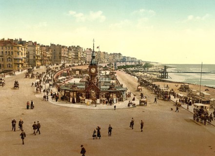 Aquarium in Brighton