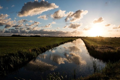 Polders