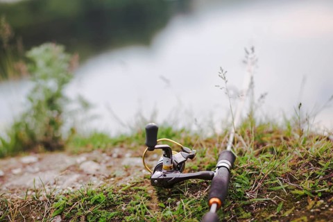 Fishing rod green grass