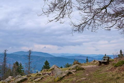 Mountain top