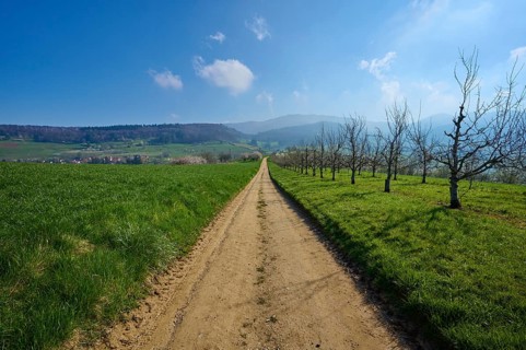 Field path