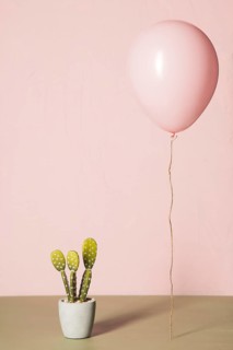 Pink balloon cactus