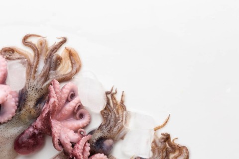 Top view fresh octopus ready cooking
