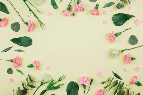 Green eucalyptus