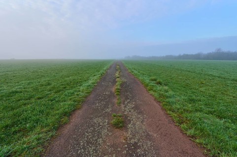 Field path