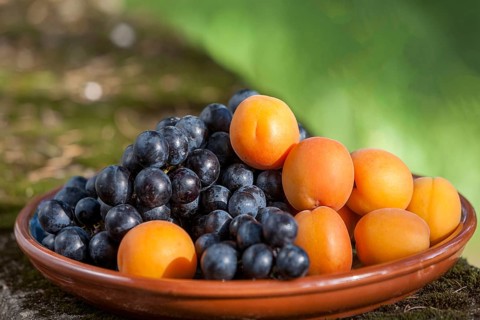 Fruit bowl with apricots and grapes