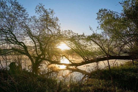 River landscape