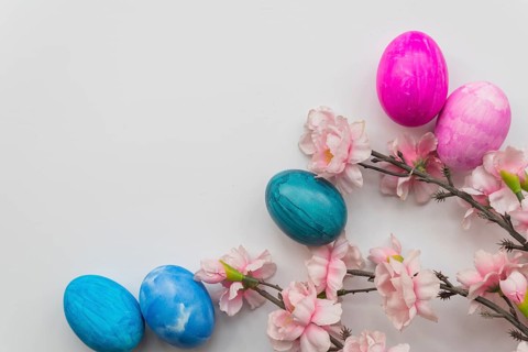 Set easter eggs fresh flower twigs