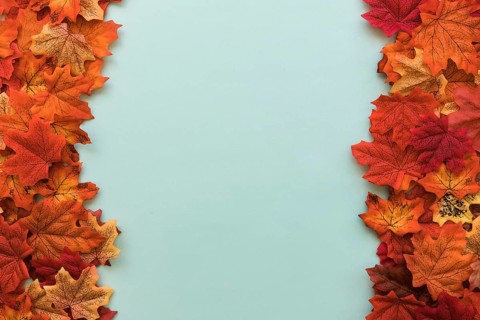 Double sided flat lay autumn leaves