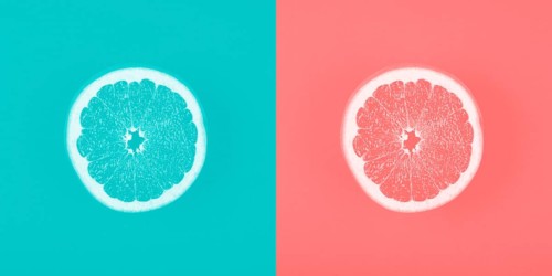 Contrast blue coral backdrop with grapefruit slice