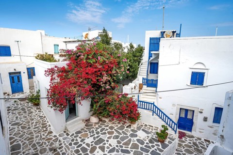 White Cycladic houses with red bougainvillea