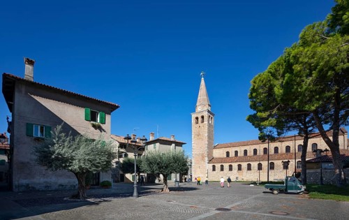 Olive trees at Campo Patriarca Elia with Basilica Sant Eufemia
