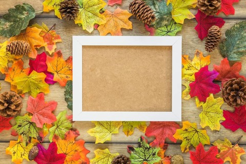 Frame foliage snags