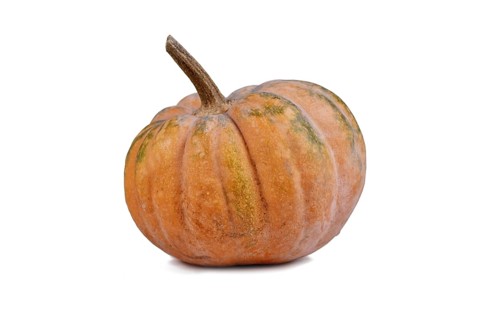Orange musque de Provence pumpkin on white background