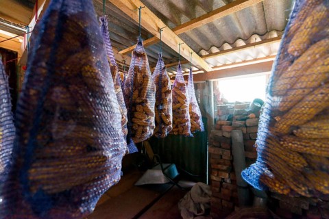 Storage with corn mesh bags